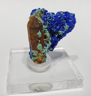 Azurite w/ Malachite and Quartz (Morocco)