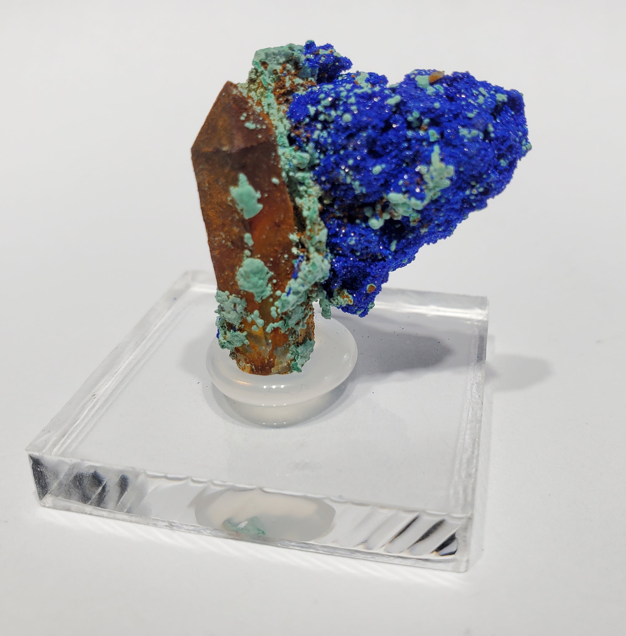 Azurite w/ Malachite and Quartz (Morocco)