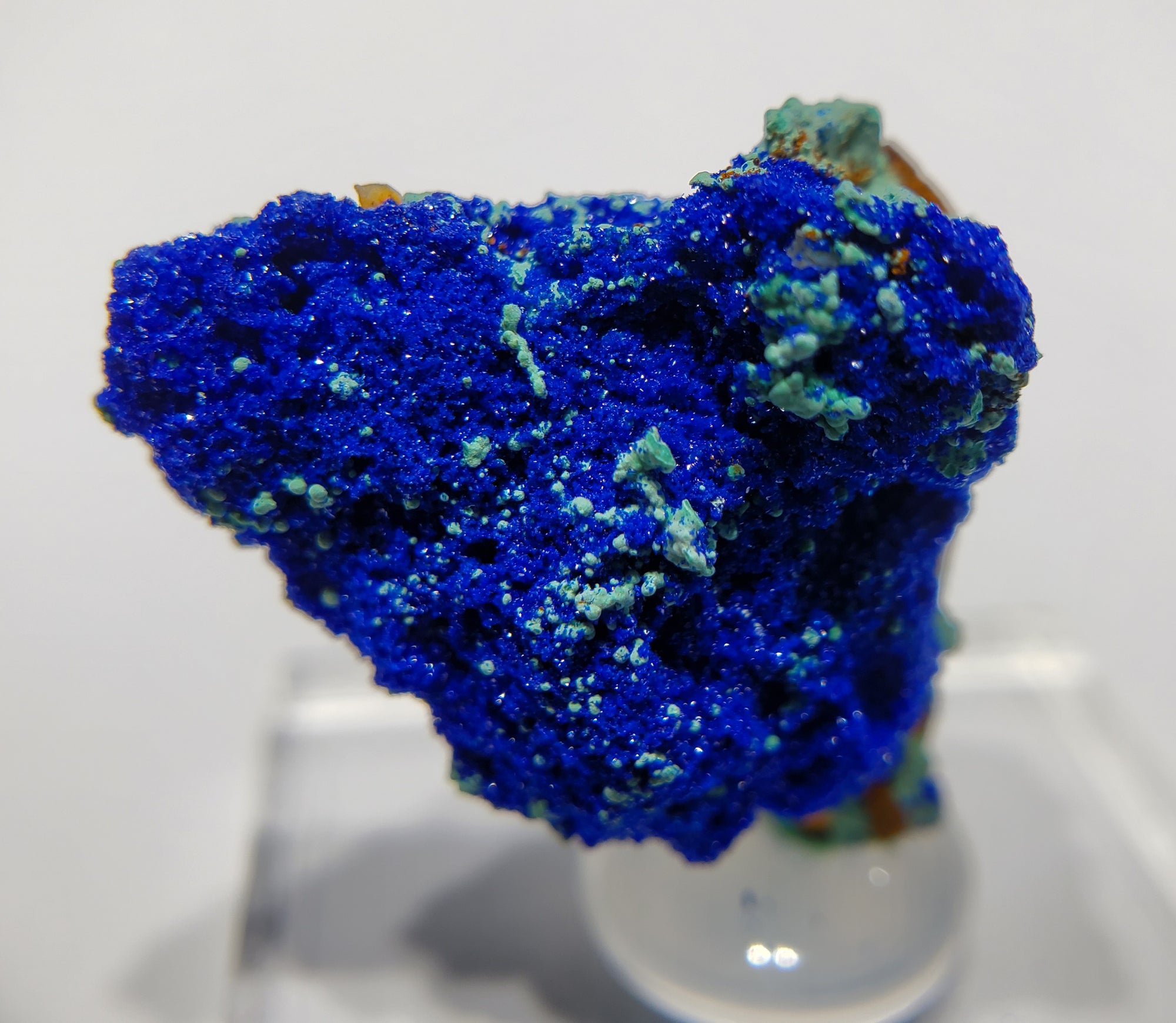 Azurite w/ Malachite and Quartz (Morocco)