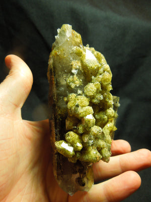 Chlorite Quartz Cluster, Lodolite