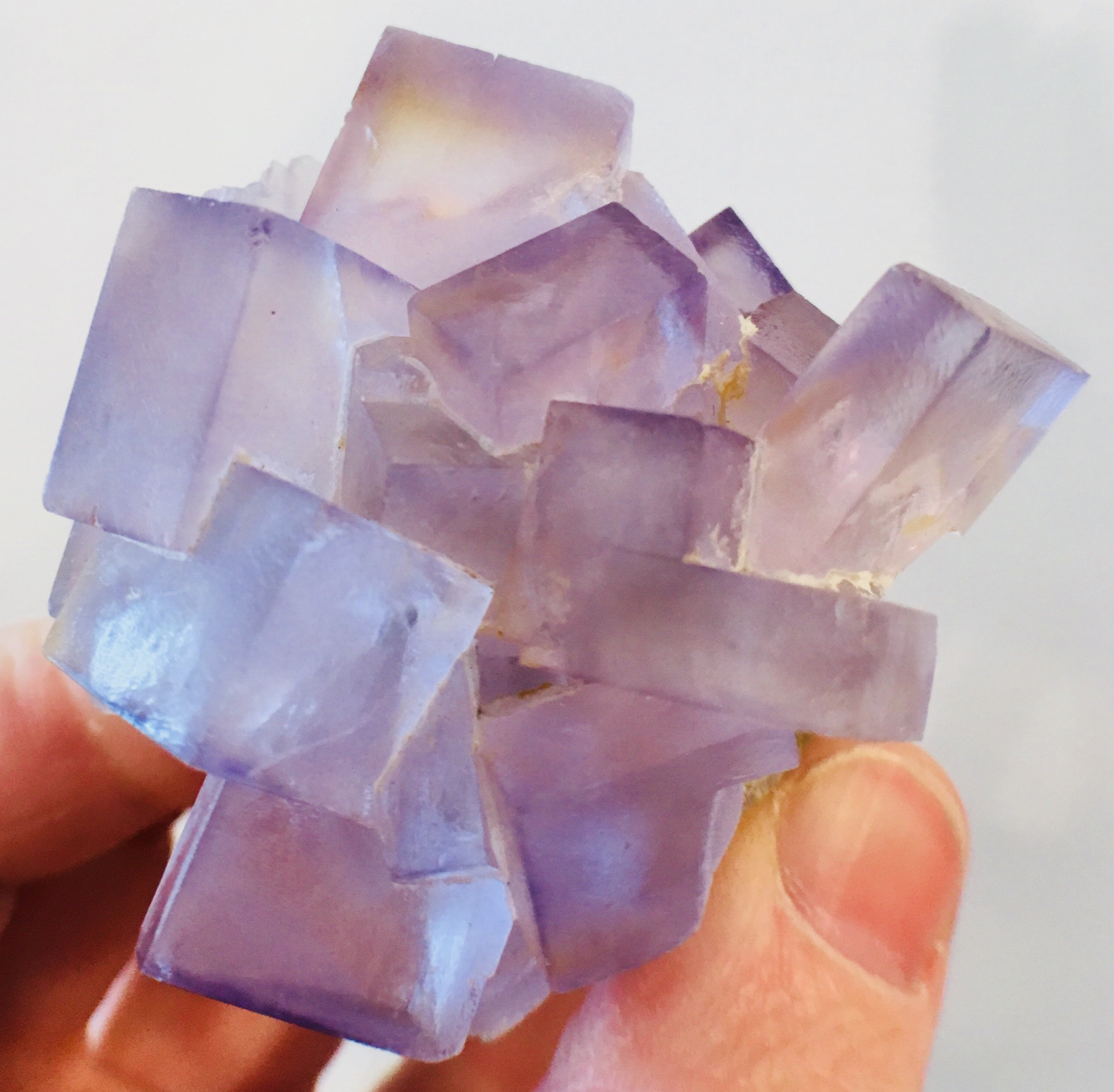 Fluorite, Tauorirt Mine, Morocco