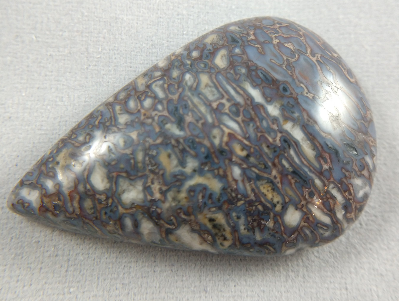 Dinosaur Bone Cabochon