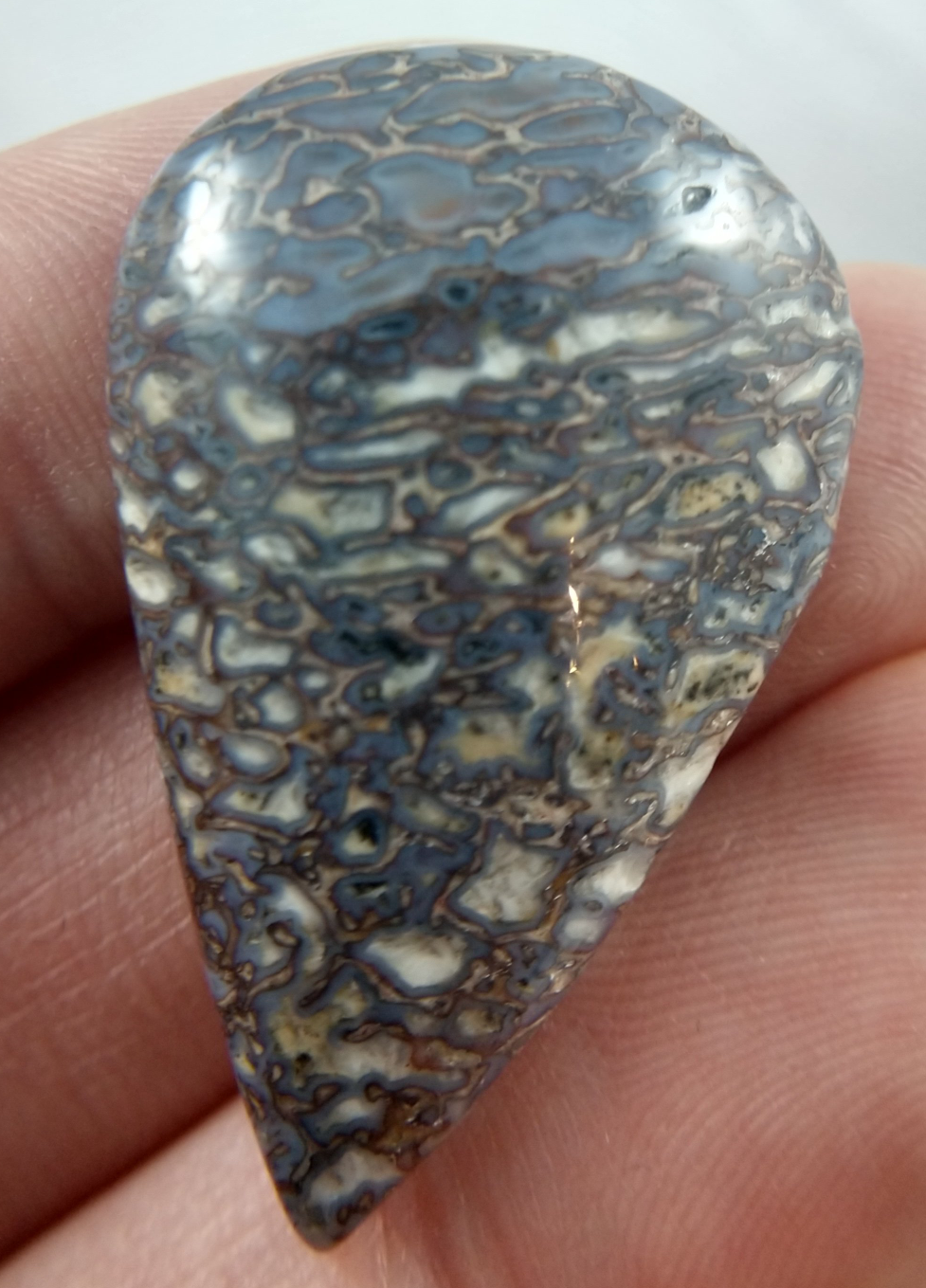 Dinosaur Bone Cabochon
