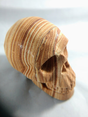 Sandstone Skull