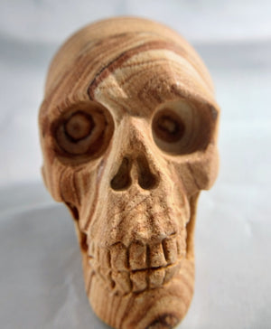 Sandstone Skull