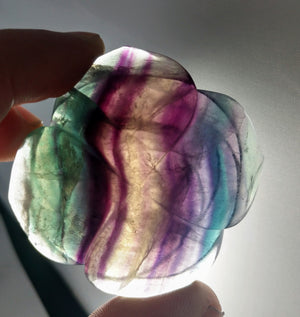 Rainbow Fluorite Rose
