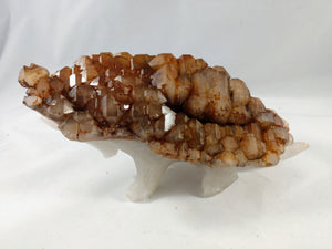 Quartz Armadillo with Elestial Shell