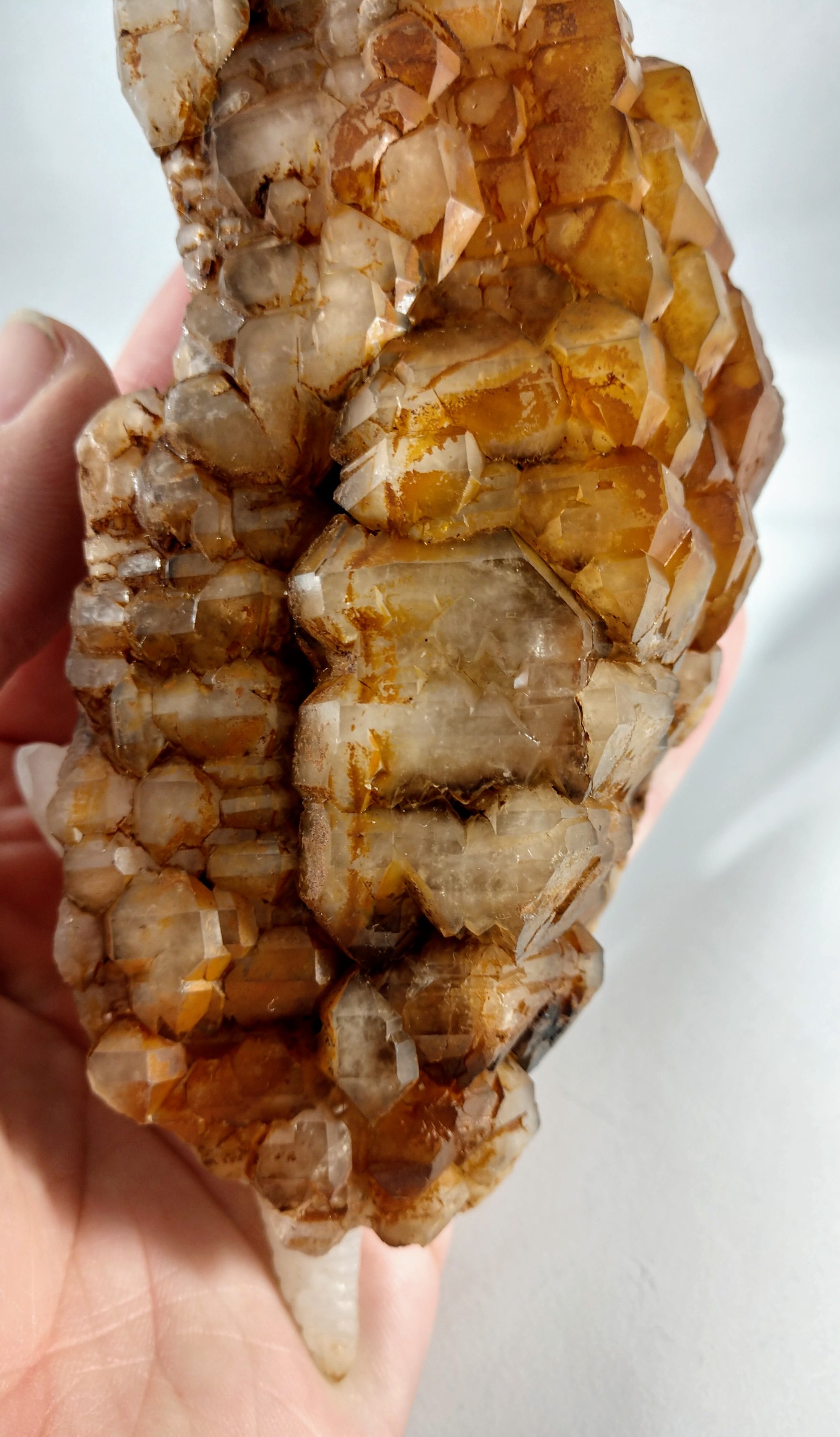 Quartz Armadillo with Elestial Shell