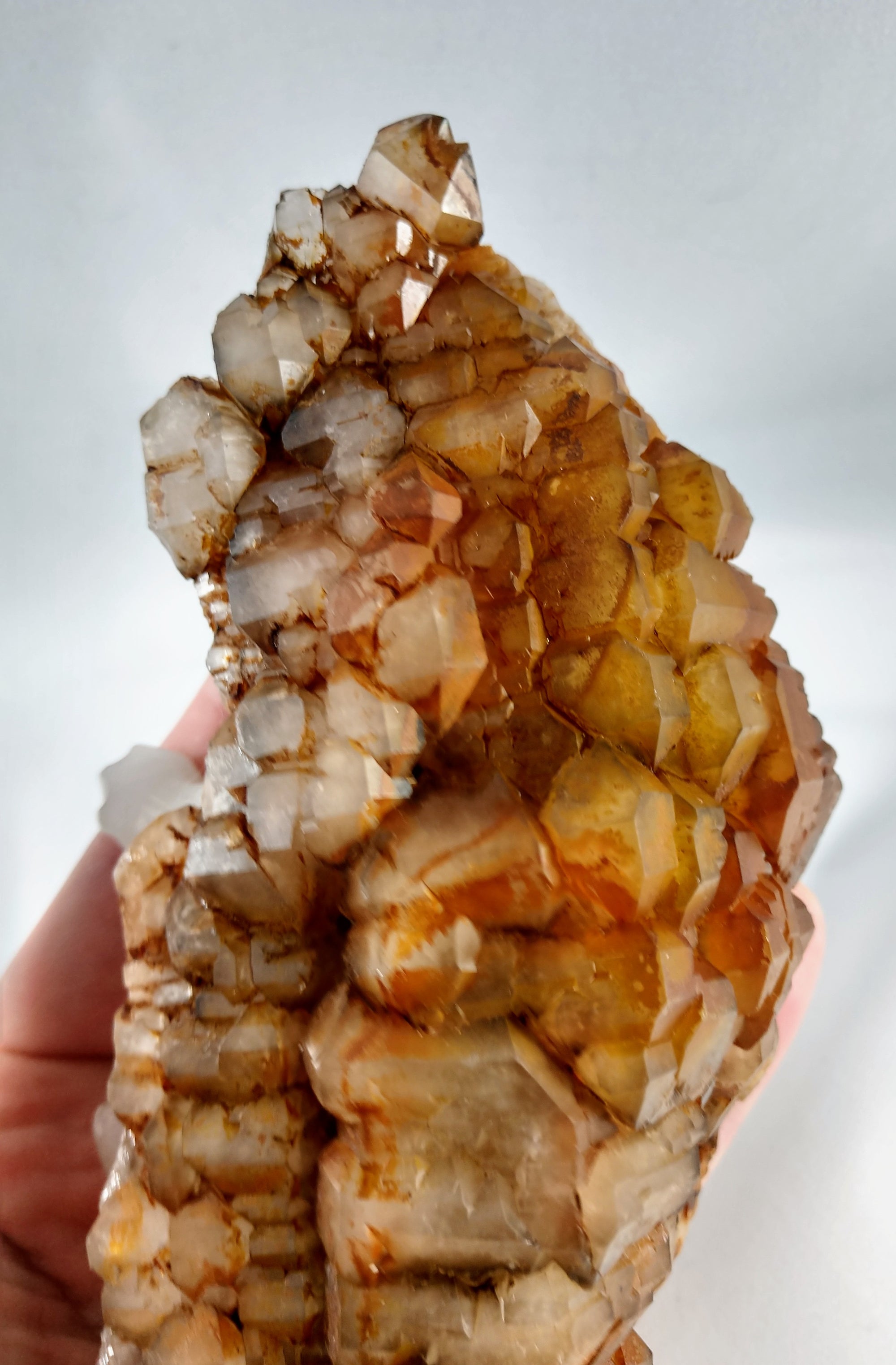 Quartz Armadillo with Elestial Shell