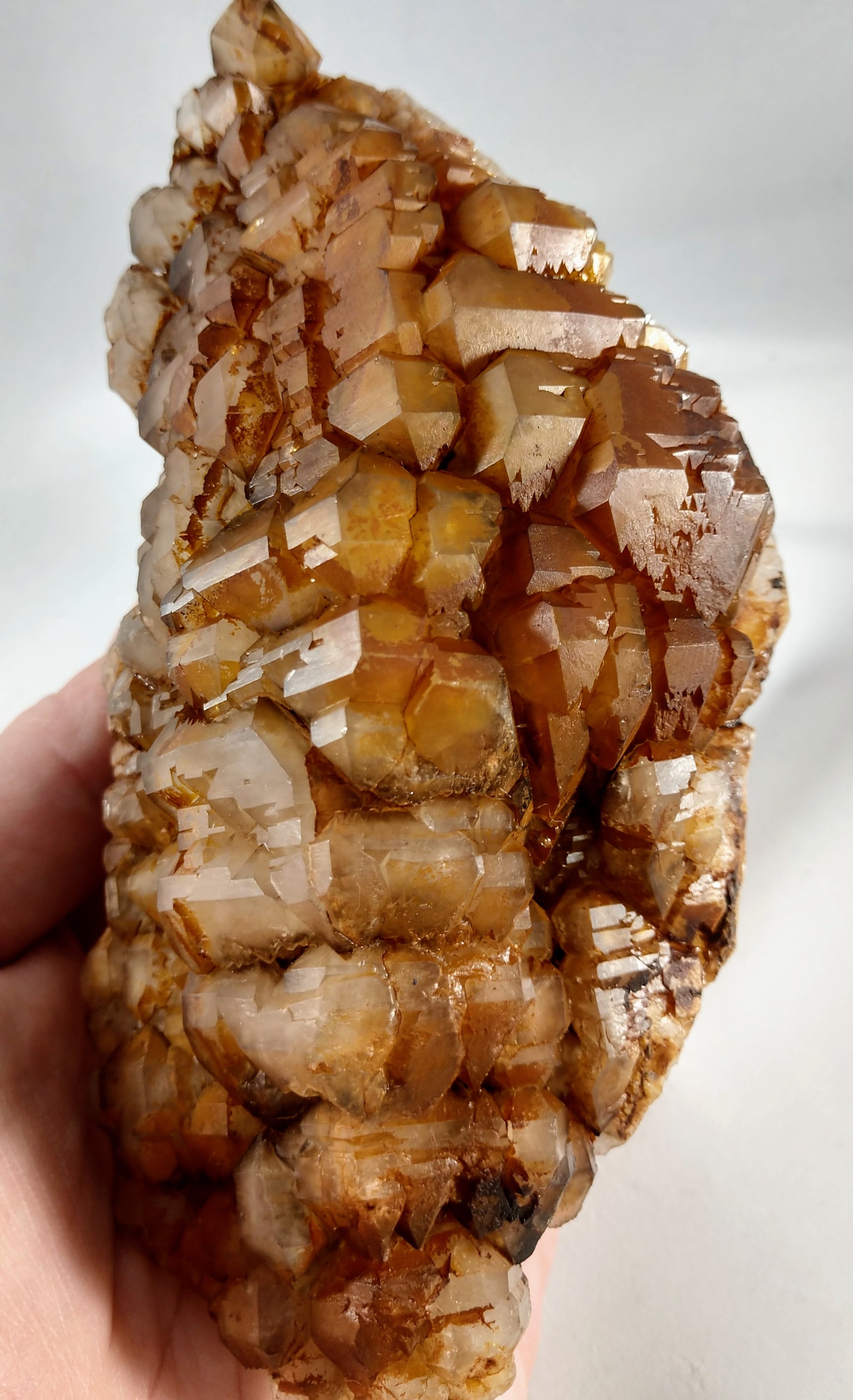 Quartz Armadillo with Elestial Shell