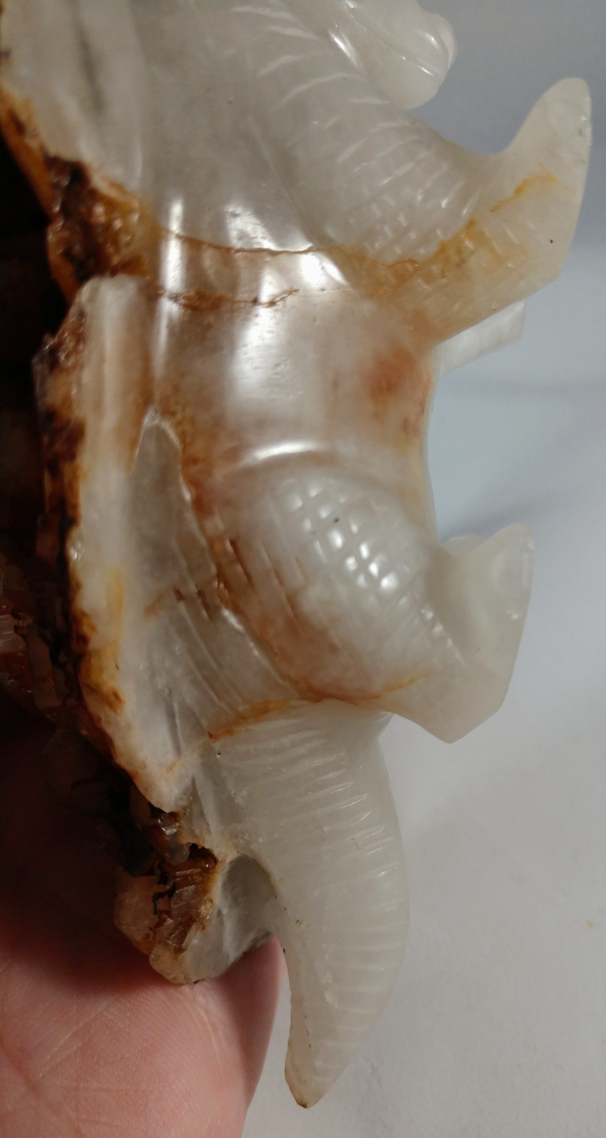 Quartz Armadillo with Elestial Shell