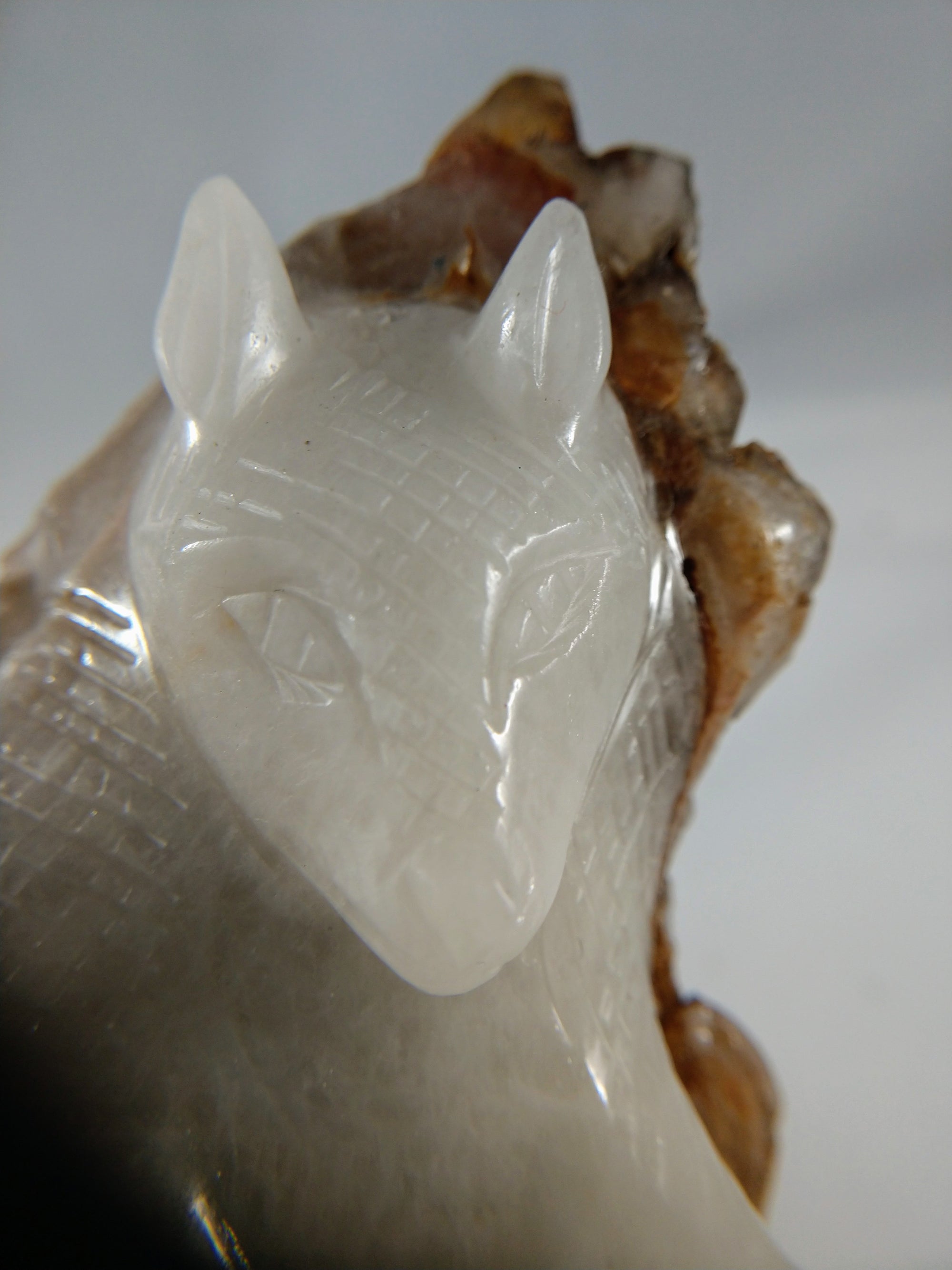 Quartz Armadillo with Elestial Shell