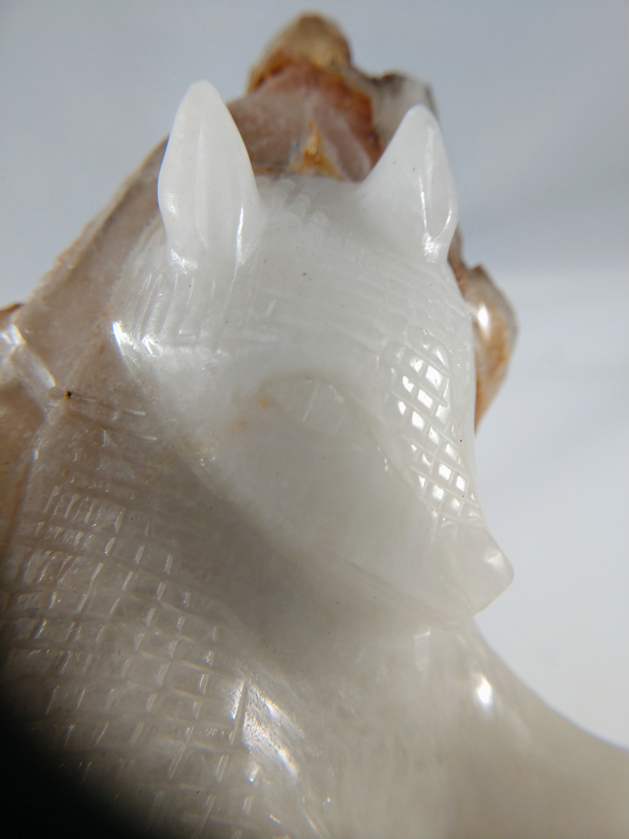 Quartz Armadillo with Elestial Shell