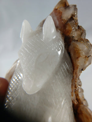 Quartz Armadillo with Elestial Shell