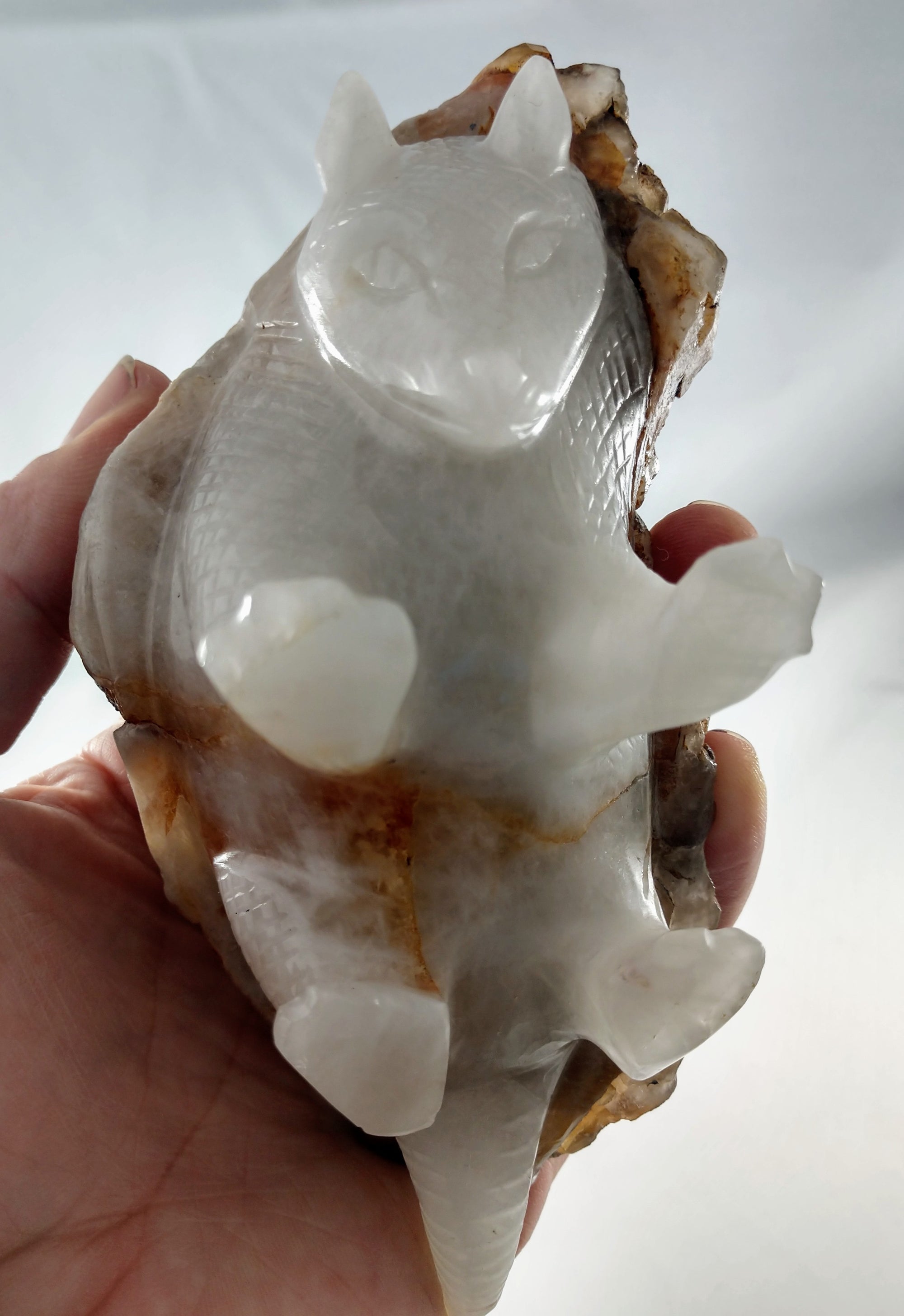 Quartz Armadillo with Elestial Shell