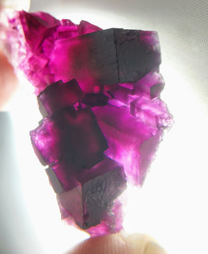 Fluorite, Cave-In-Rock, IL