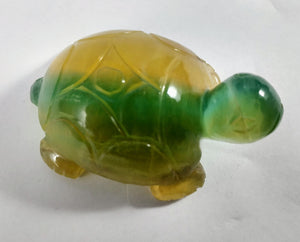 Fluorite Turtle