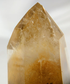 Rutilated Quartz Phantom Point, Brasil