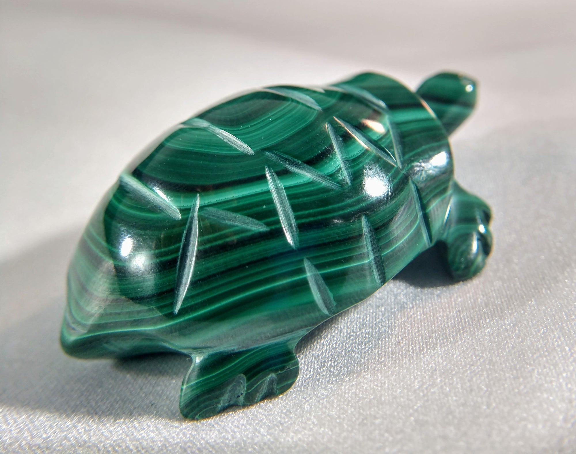 Malachite Turtle