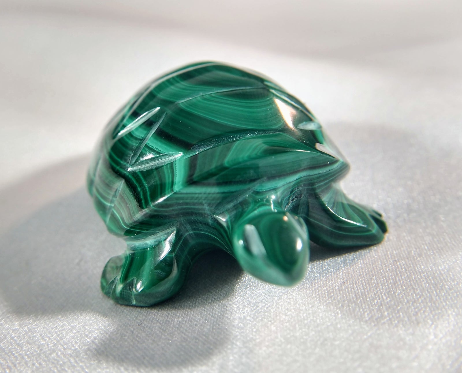 Malachite Turtle