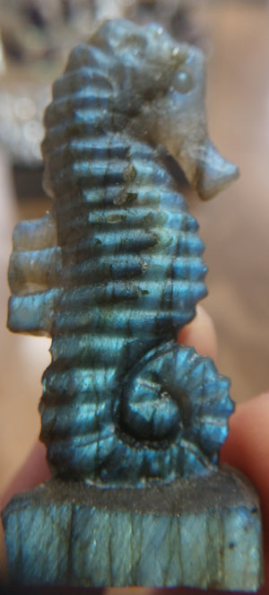 Labradorite Seahorse