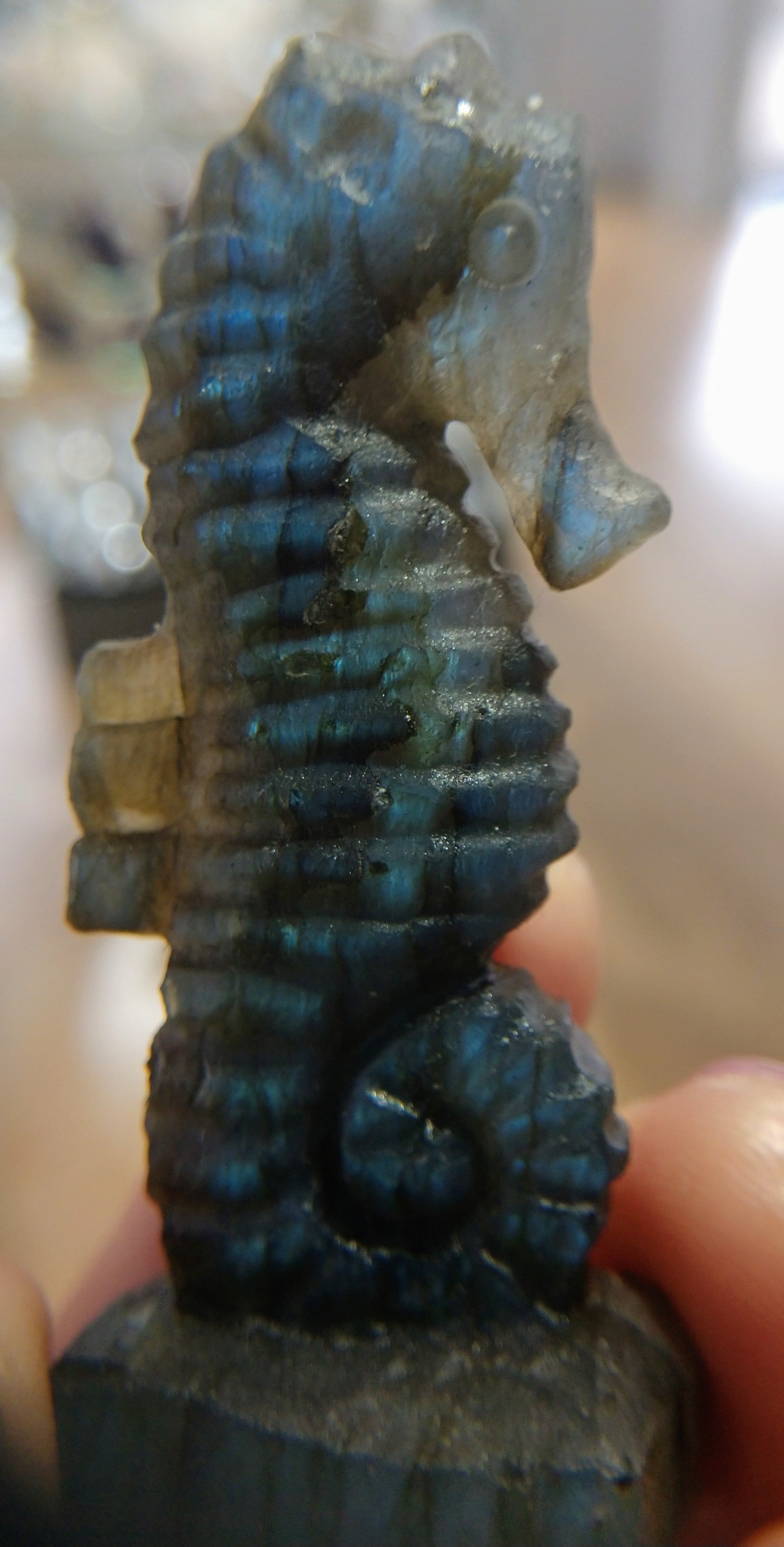 Labradorite Seahorse