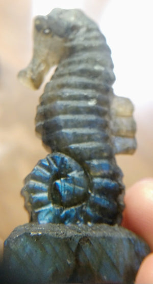 Labradorite Seahorse