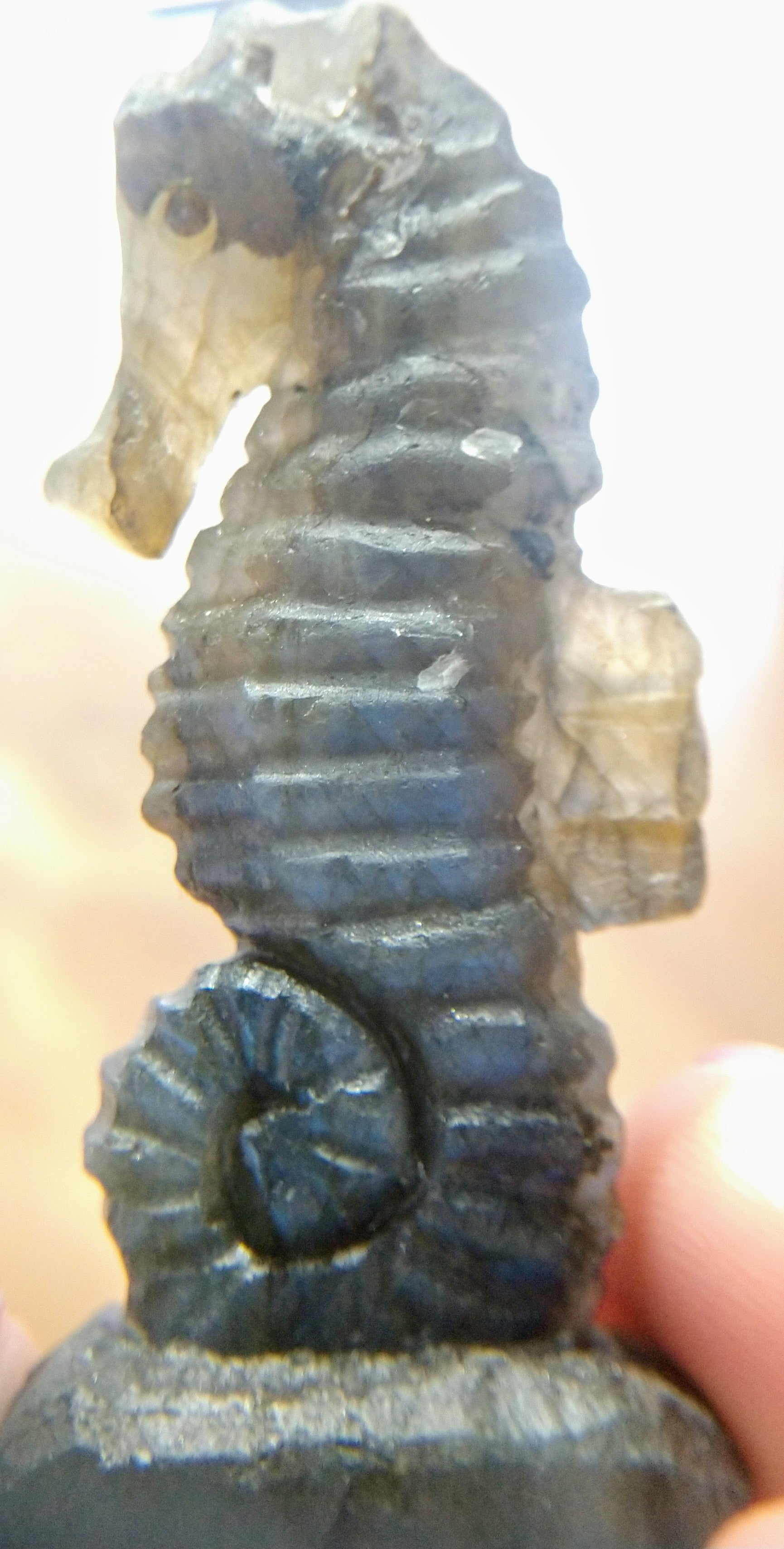 Labradorite Seahorse