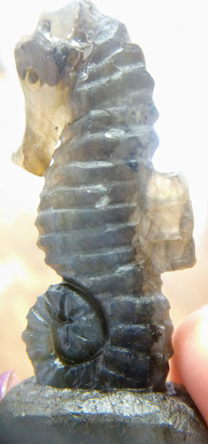 Labradorite Seahorse