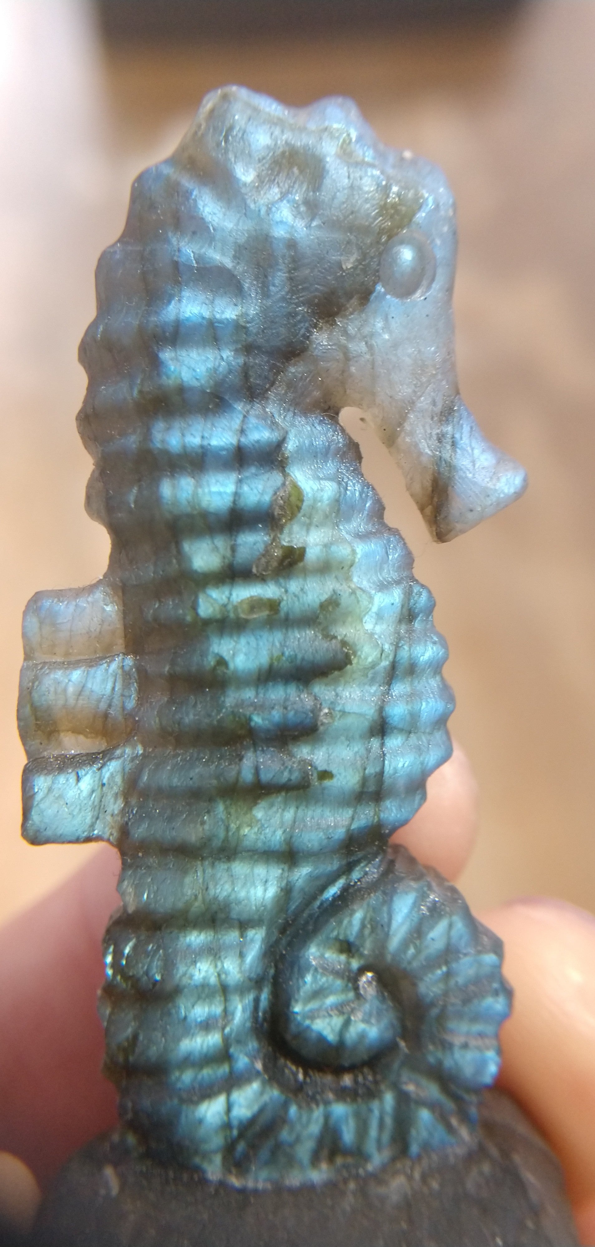 Labradorite Seahorse