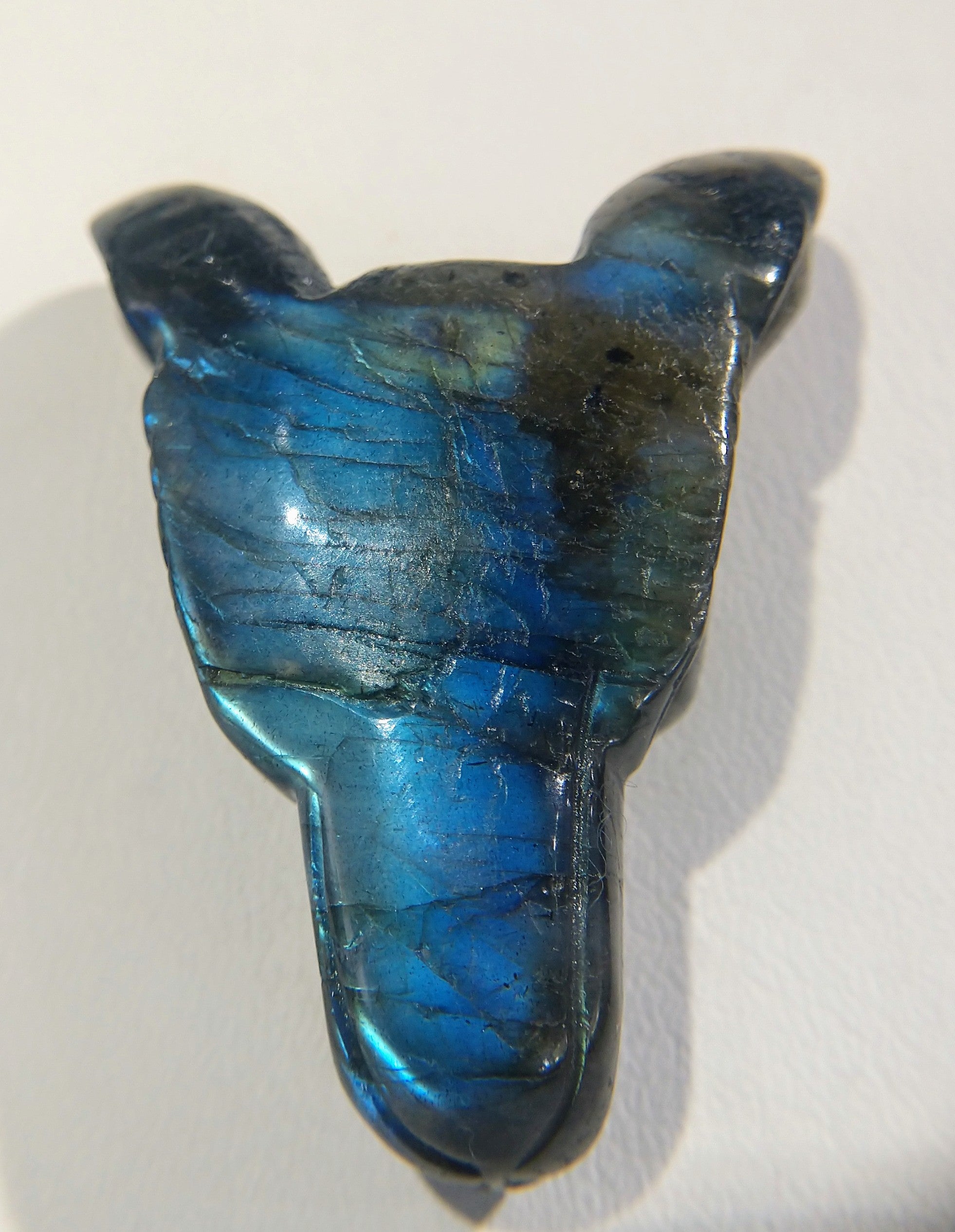 Labradorite Wolf Head Bead