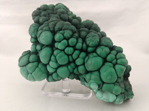 Botryodial Malachite, Congo