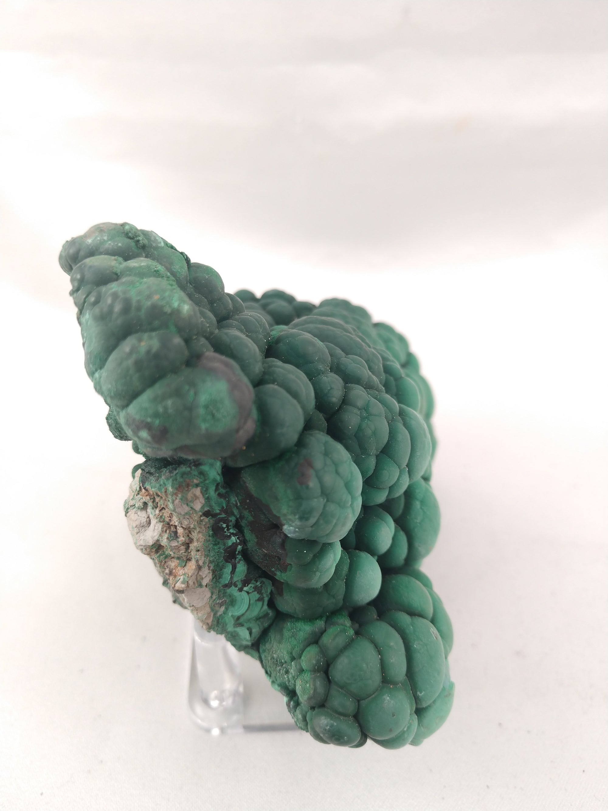 Botryodial Malachite, Congo