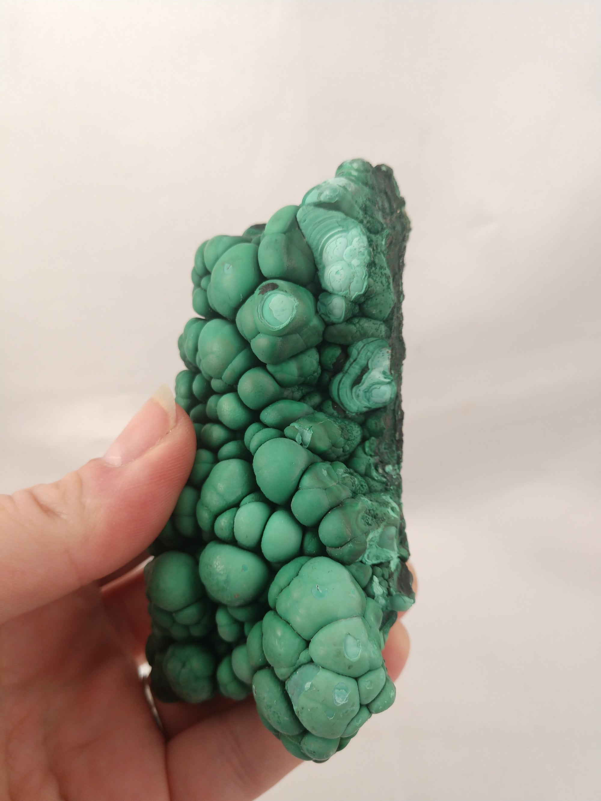 Botryodial Malachite, Congo