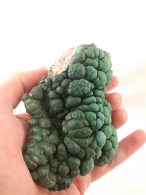 Botryodial Malachite, Congo