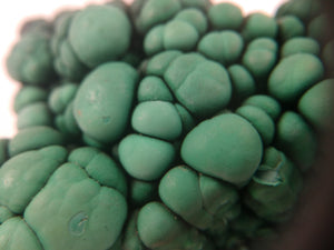 Botryodial Malachite, Congo