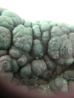 Botryodial Malachite, Congo