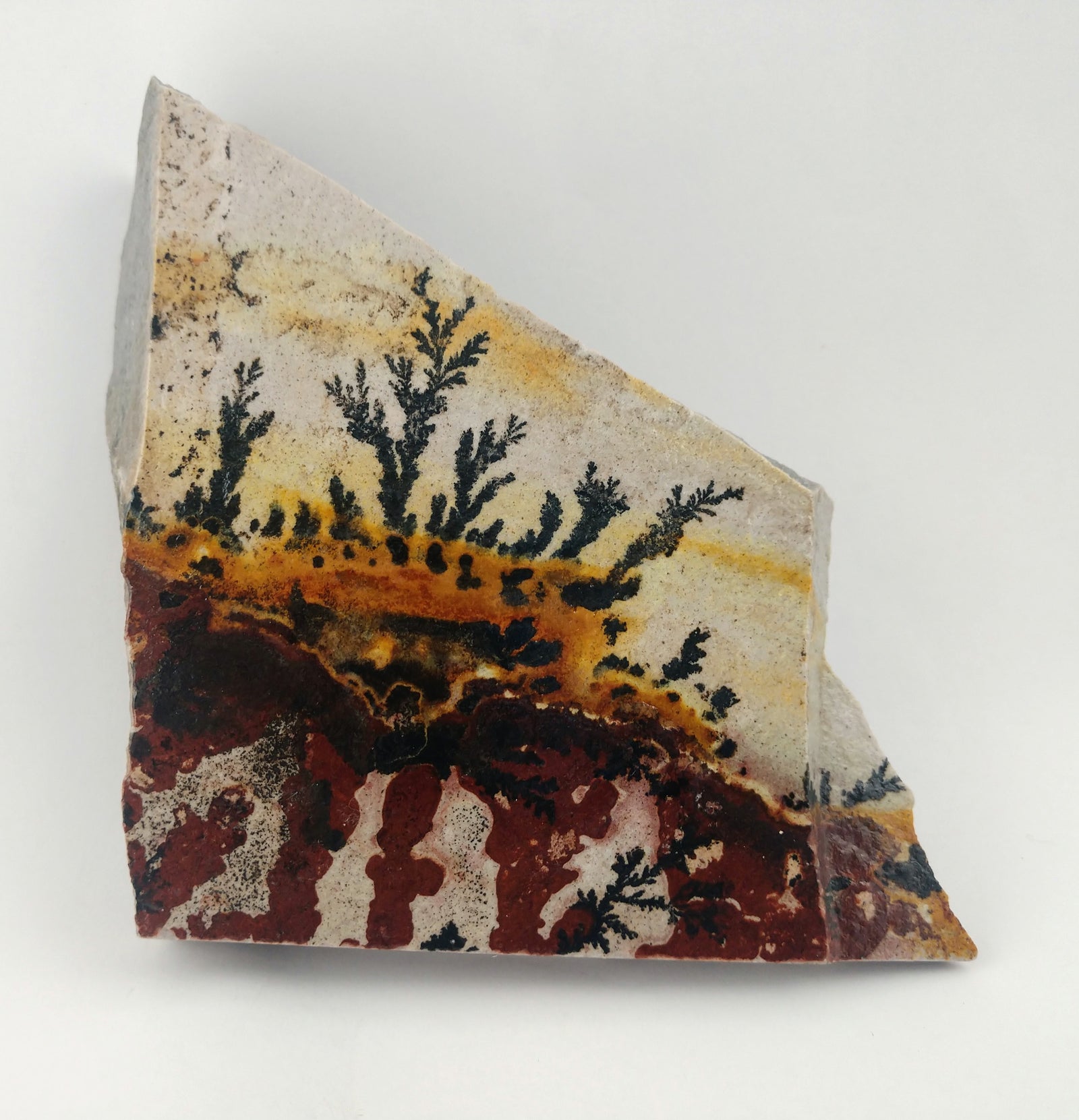 Dendrite and Limestone, Utah