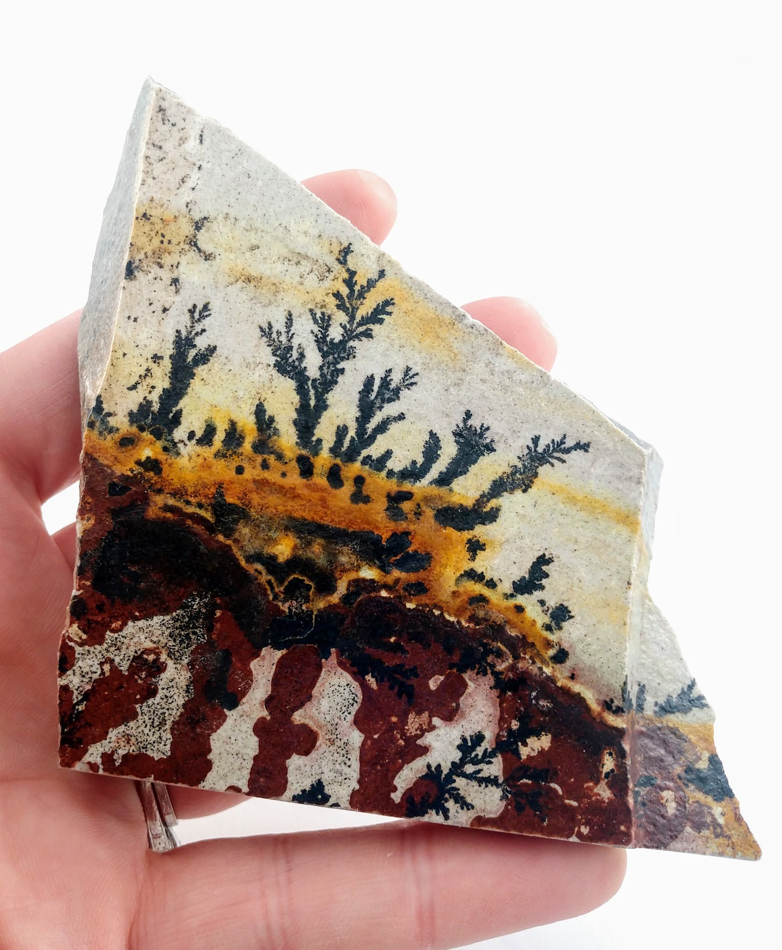 Dendrite and Limestone, Utah