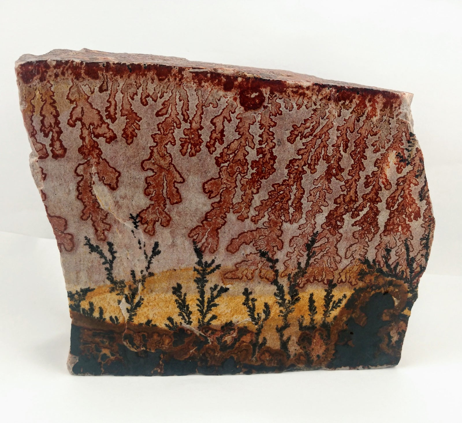 Dendrite and Limestone, Utah