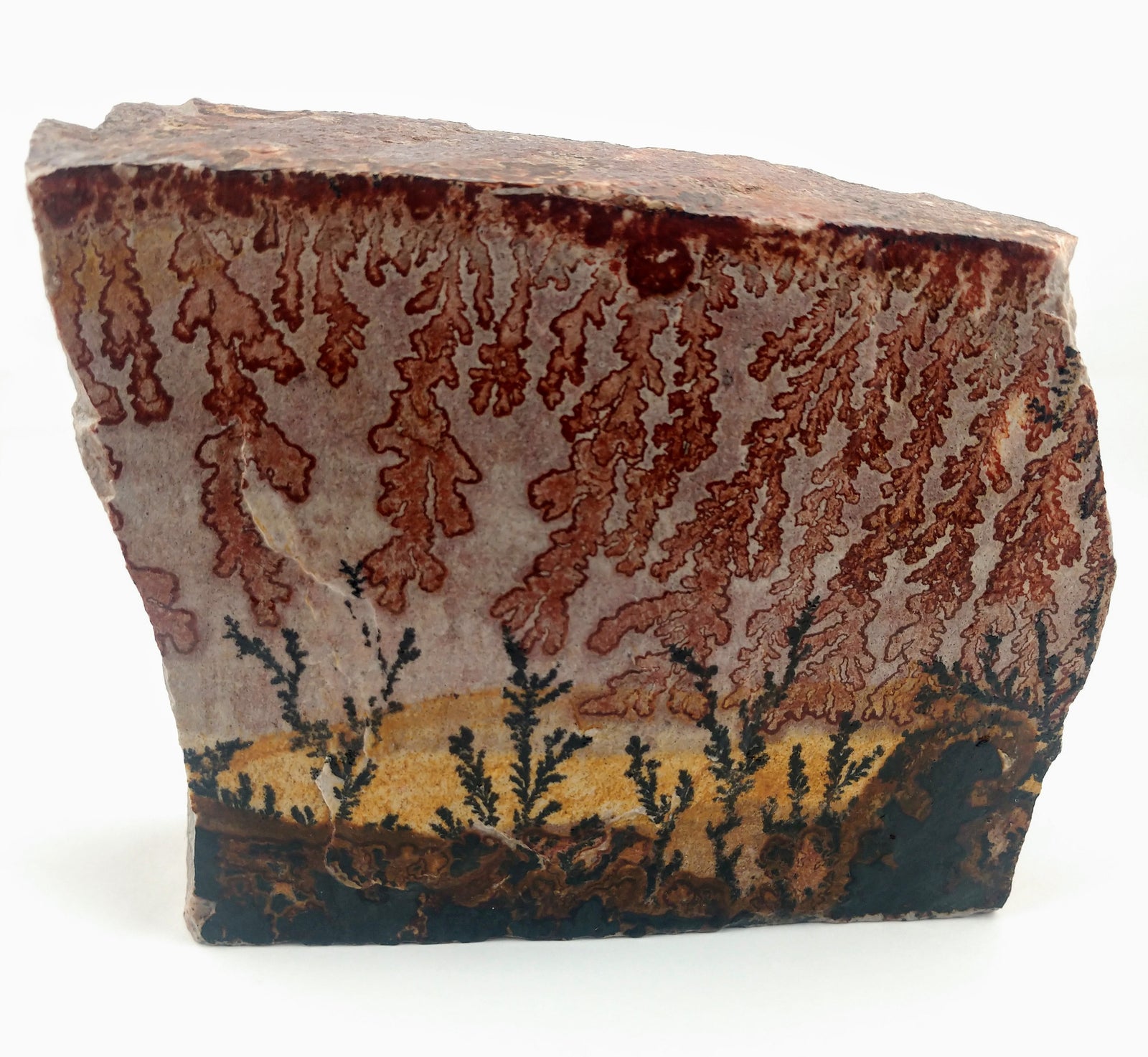 Dendrite and Limestone, Utah