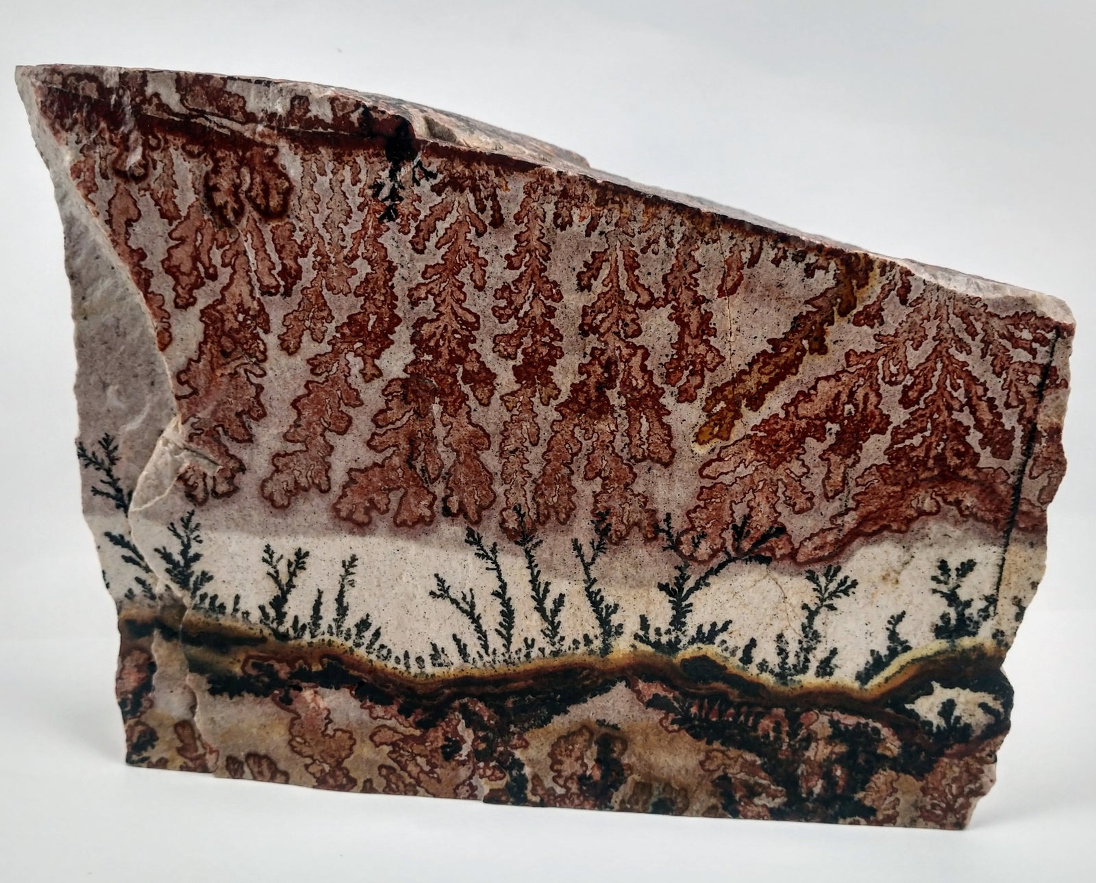 Dendrite and Limestone, Utah