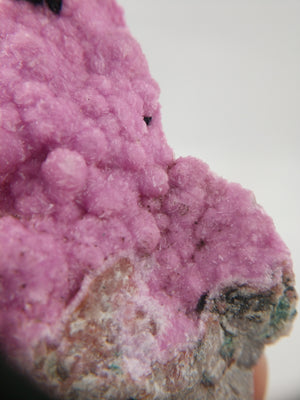 Cobaltoan Calcite, DRC