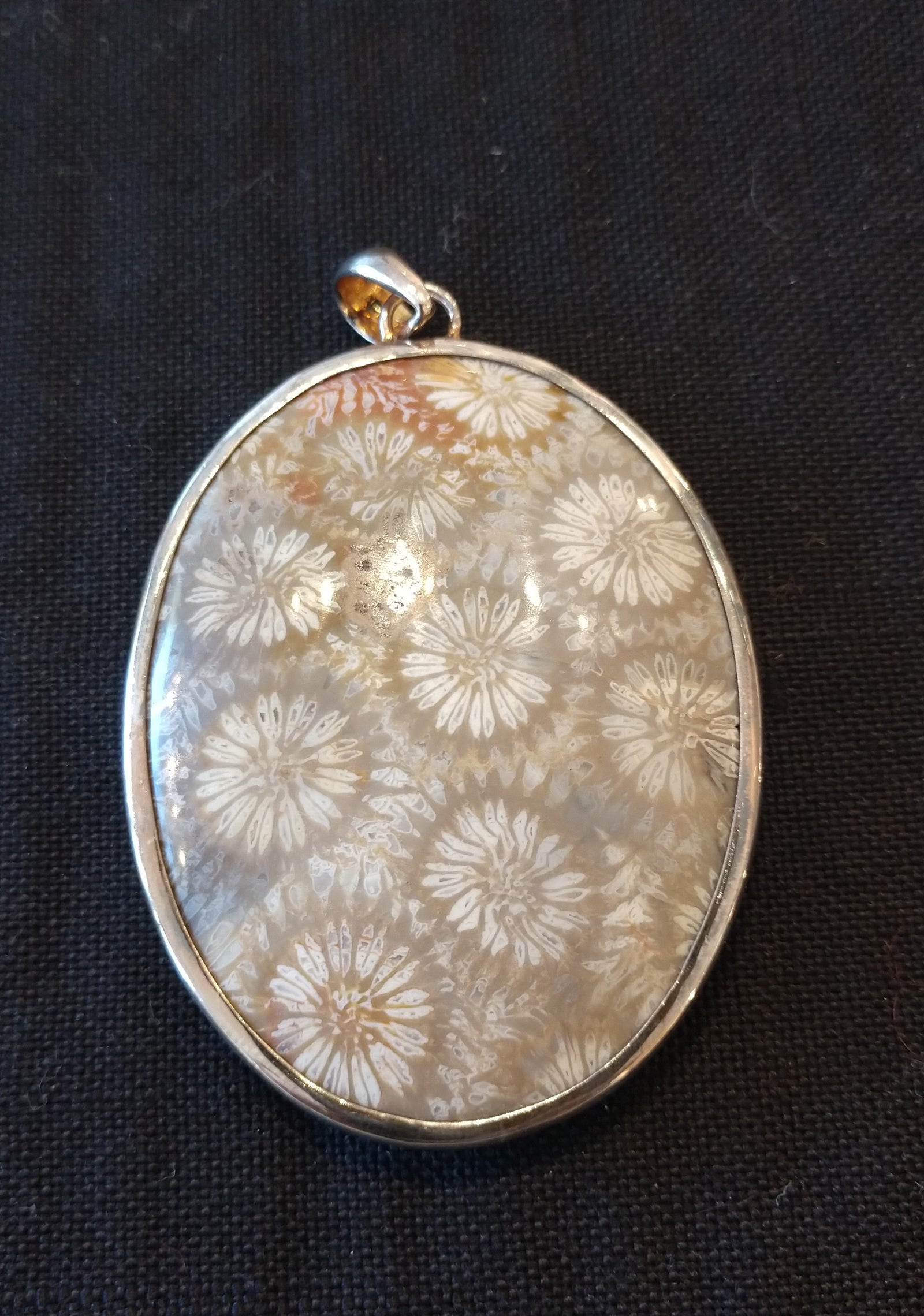 Fossilized Coral Pendant