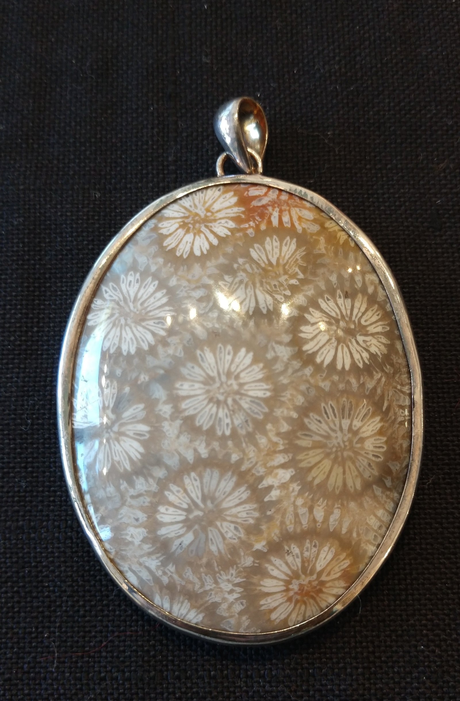 Fossilized Coral Pendant