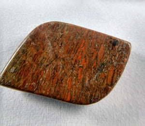 Dinosaur Bone Cabochon