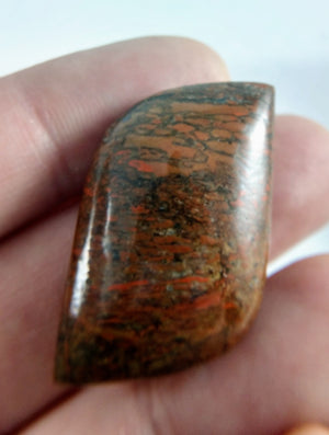 Dinosaur Bone Cabochon