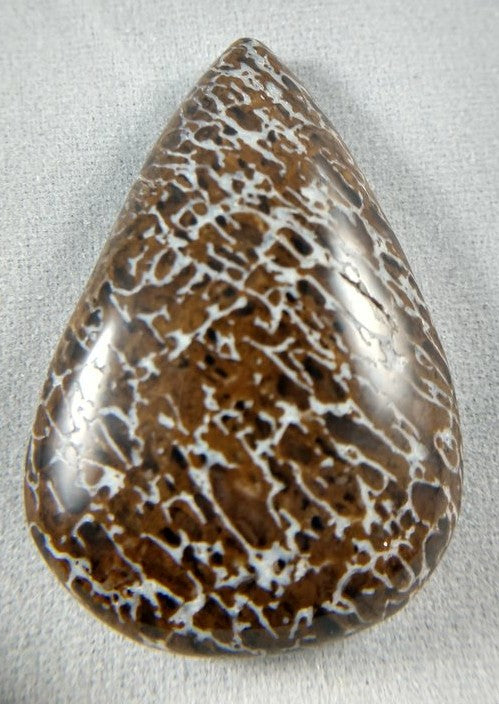 Dinosaur Bone Cabochon
