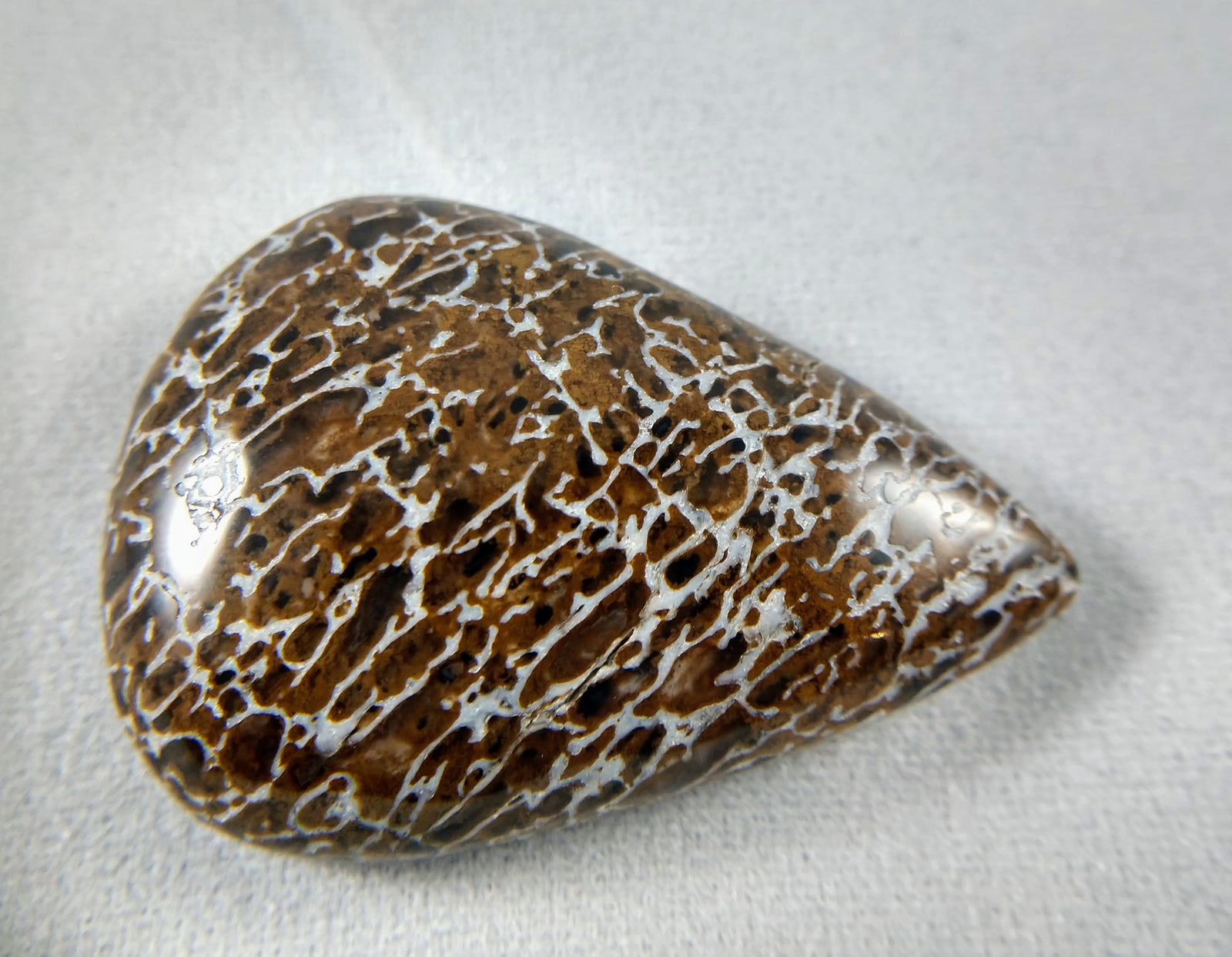 Dinosaur Bone Cabochon