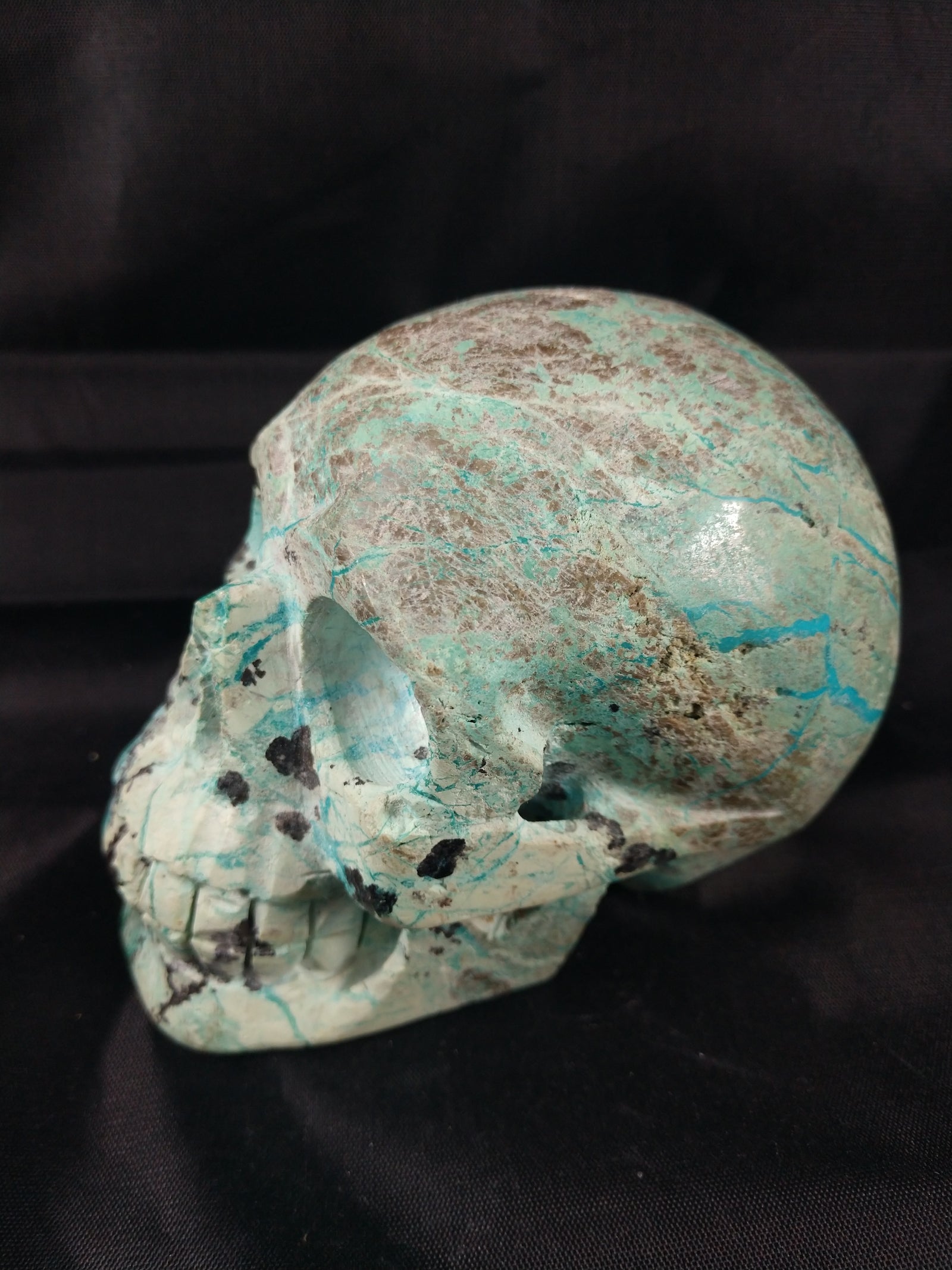 Chrysocolla Skull 1.7 lbs